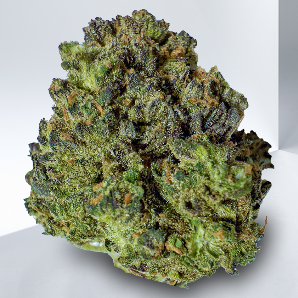 167-PURPLE-URKLE-1.jpeg