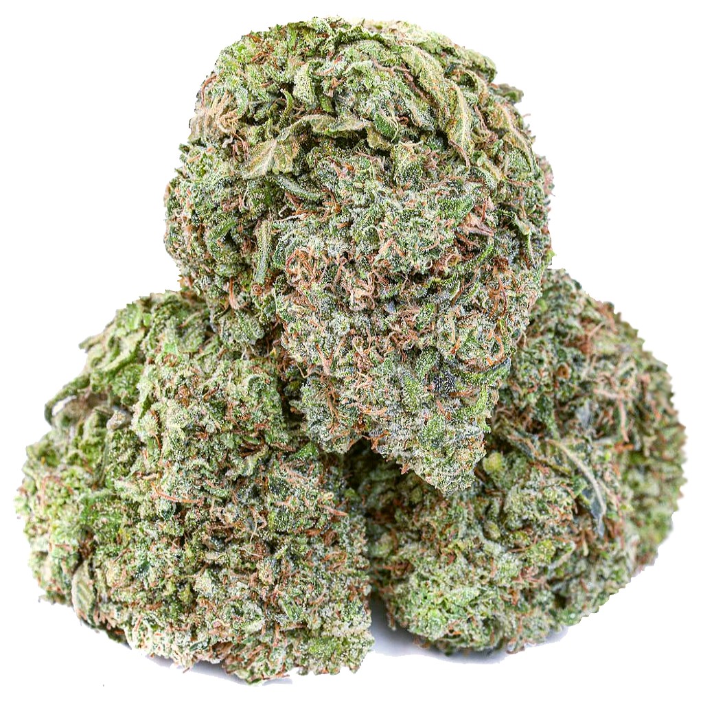 496-White-Gauva-Haze-strain.jpg
