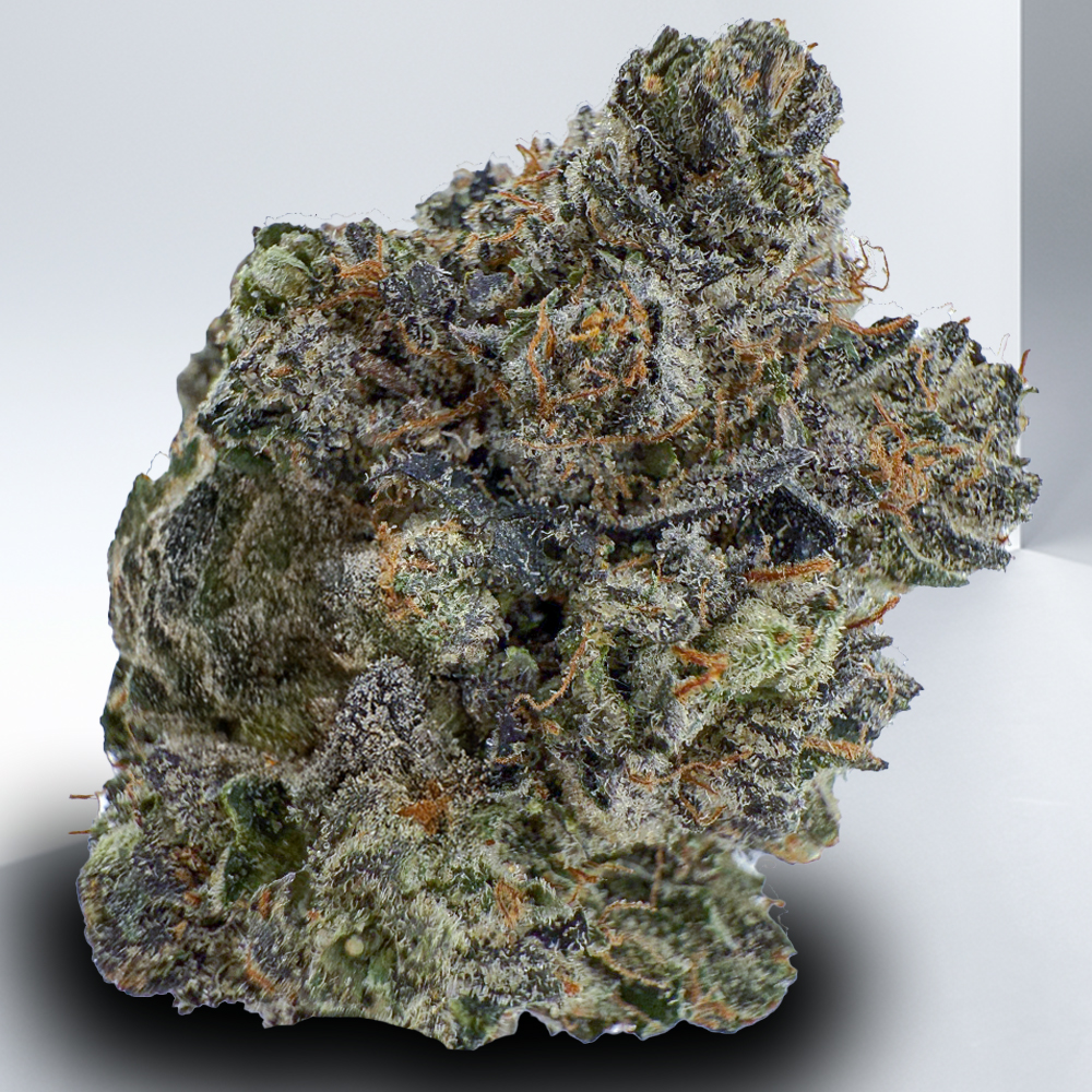 574-Hypnotic-Bubba.jpg